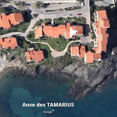 Collioure Appart En Bord De Mer Plage A 50M Clim Garage Location Du Samedi Au Samedi 외부 사진