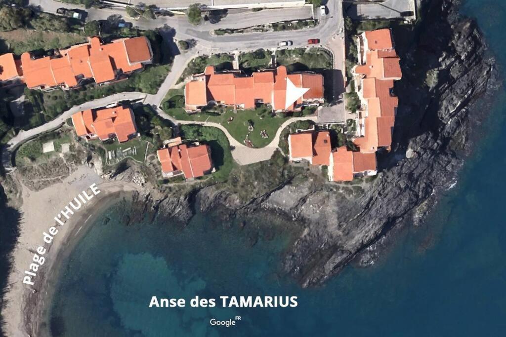 Collioure Appart En Bord De Mer Plage A 50M Clim Garage Location Du Samedi Au Samedi 외부 사진