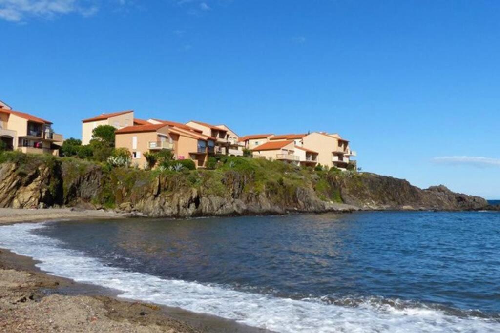 Collioure Appart En Bord De Mer Plage A 50M Clim Garage Location Du Samedi Au Samedi 외부 사진