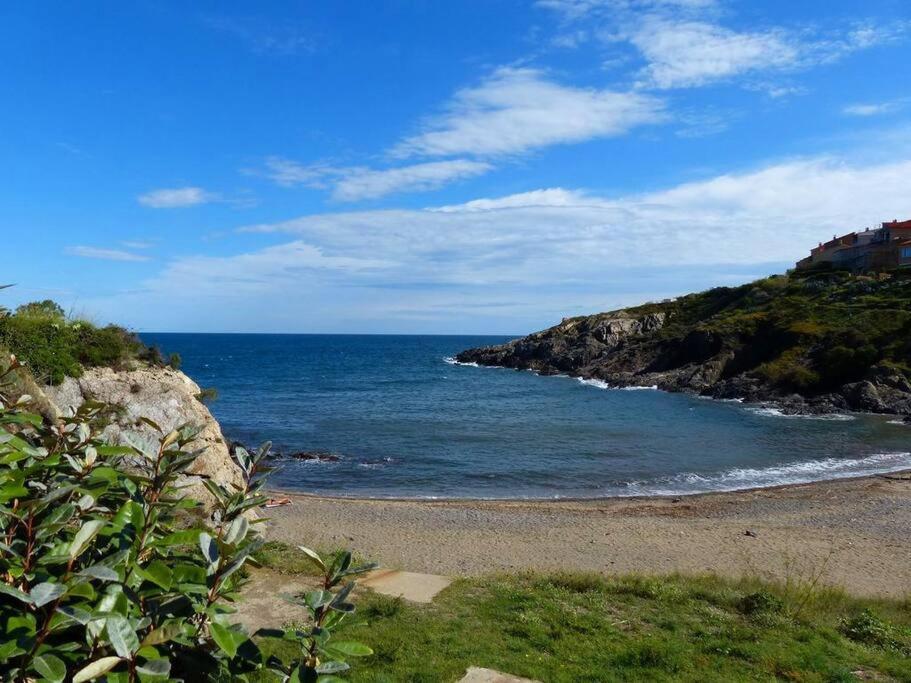 Collioure Appart En Bord De Mer Plage A 50M Clim Garage Location Du Samedi Au Samedi 외부 사진